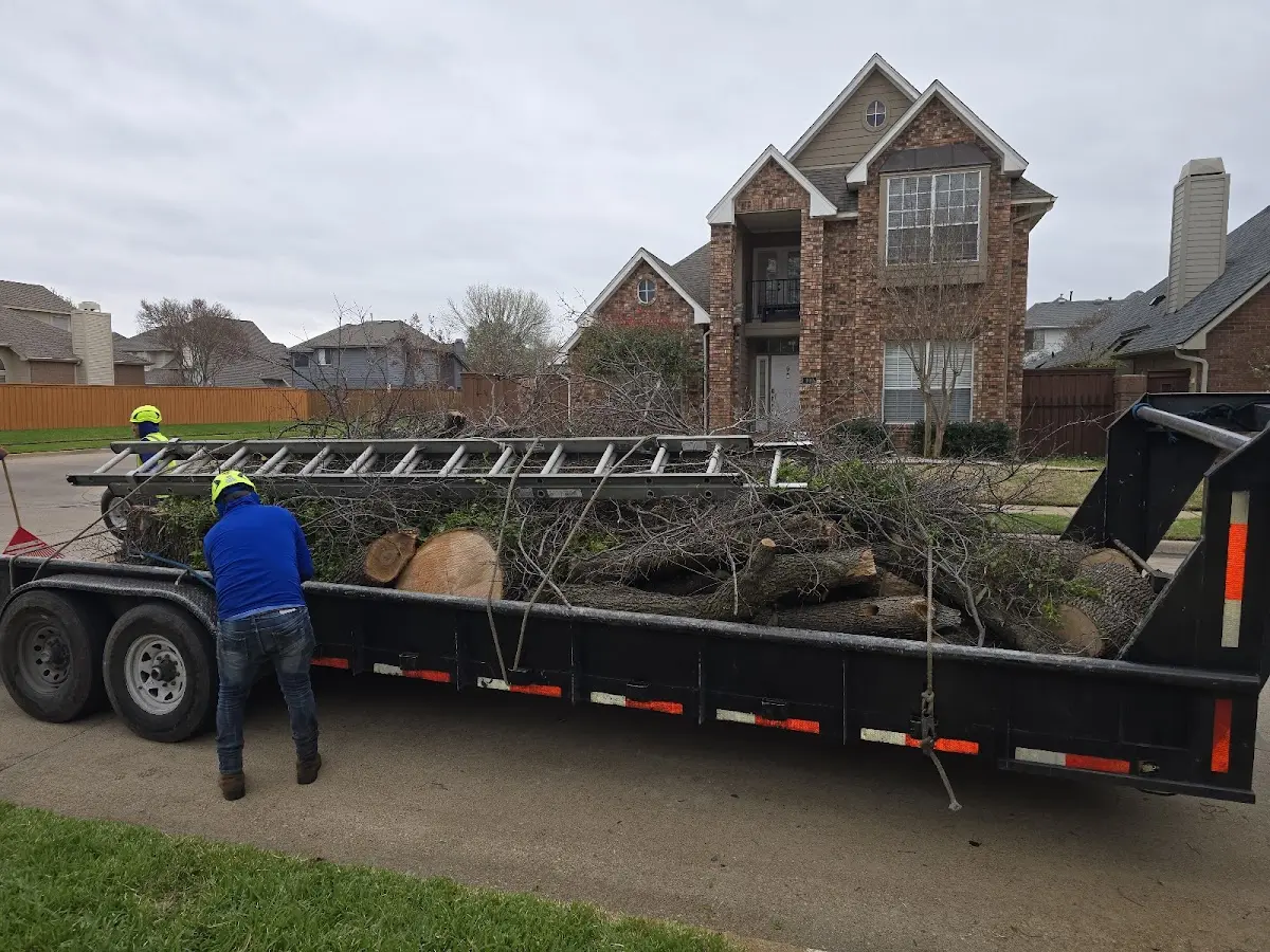Expert Tree Fertilization with proper safety equipment in Henderson Harbor